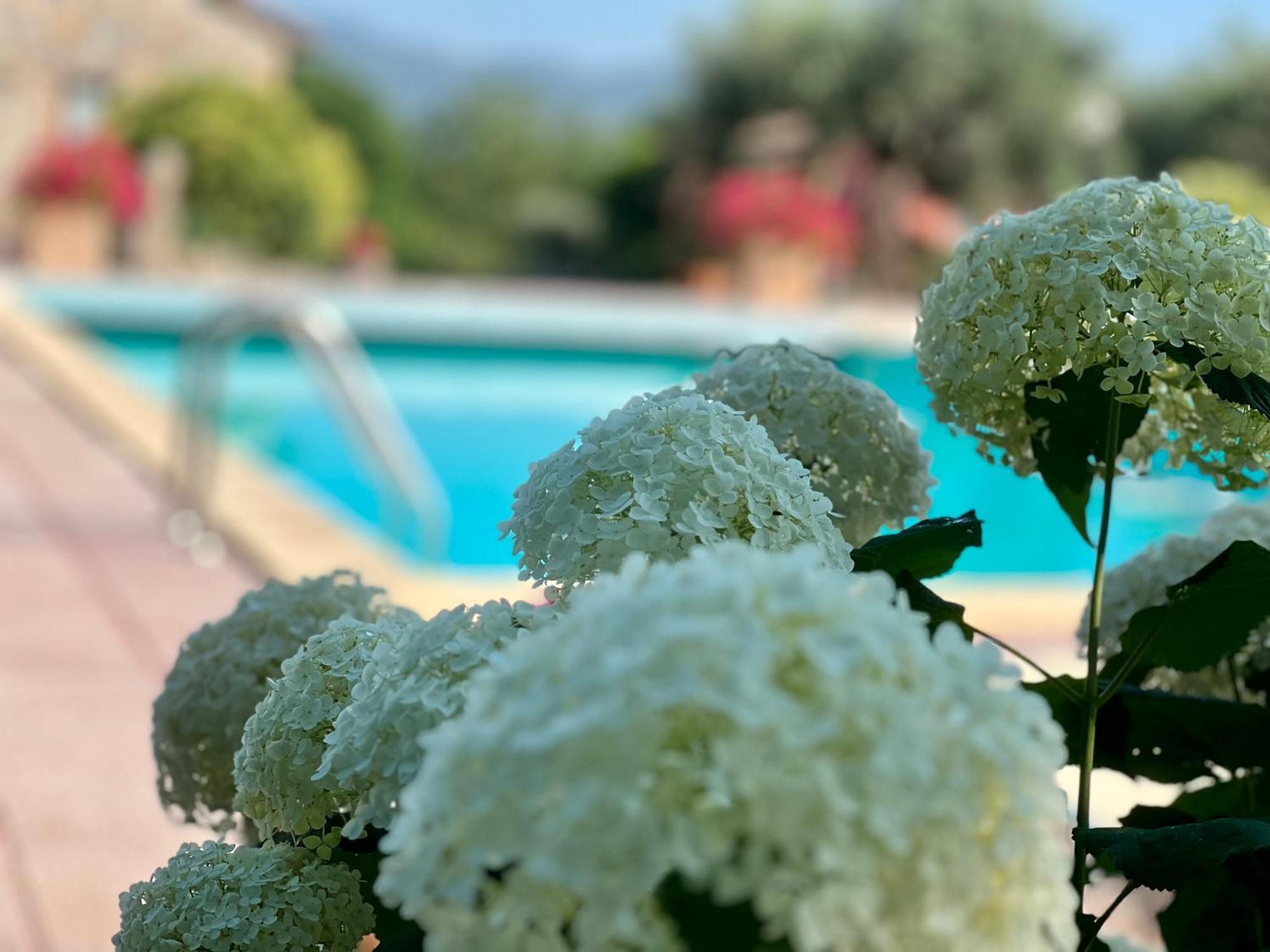 Le Case Di Lisetta Holiday Homes Corciano Exterior foto