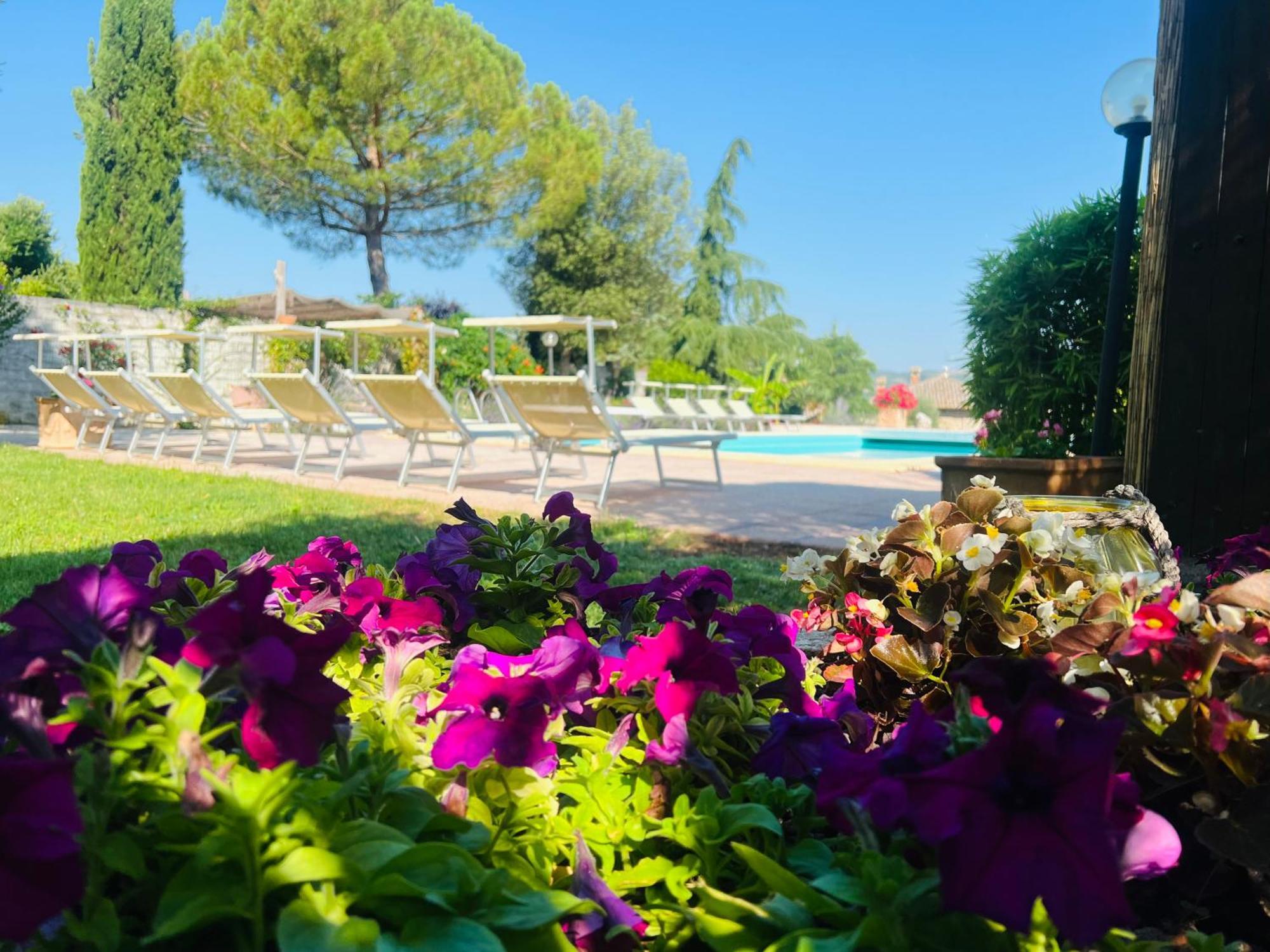 Le Case Di Lisetta Holiday Homes Corciano Exterior foto