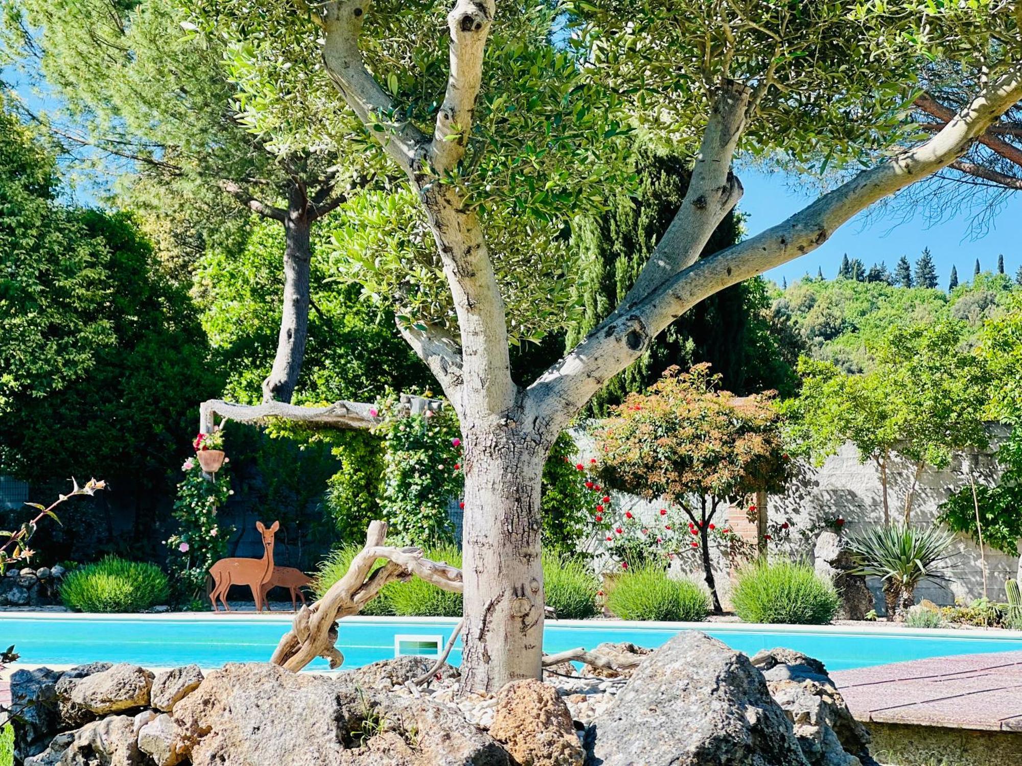 Le Case Di Lisetta Holiday Homes Corciano Exterior foto