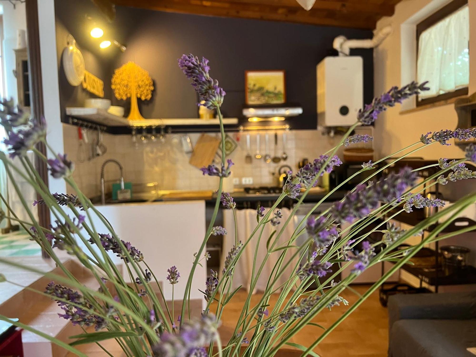 Le Case Di Lisetta Holiday Homes Corciano Exterior foto