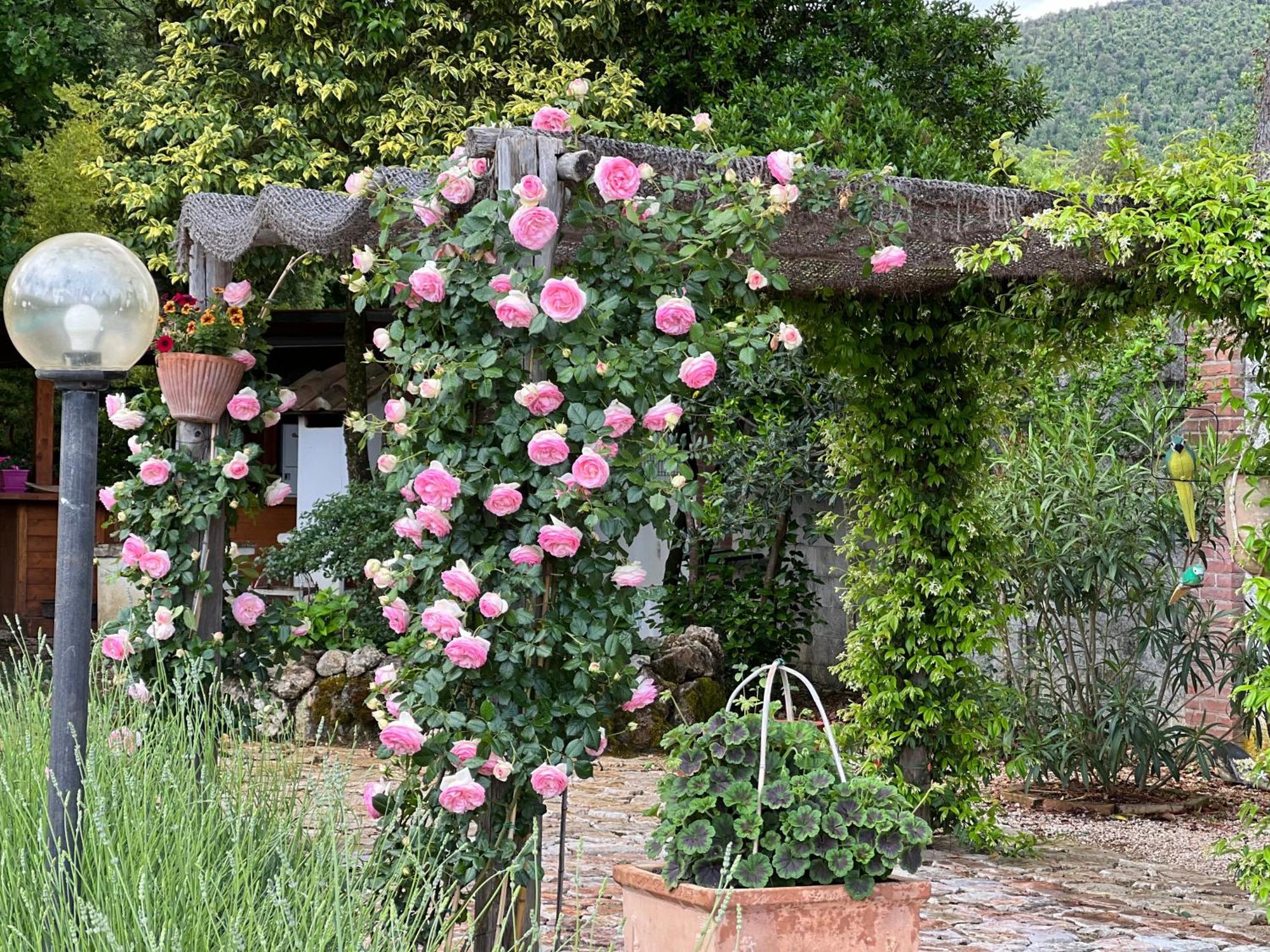 Le Case Di Lisetta Holiday Homes Corciano Exterior foto